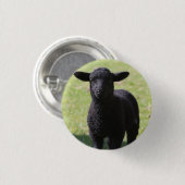 Black Sheep - Knopf Button (Vorne & Hinten)