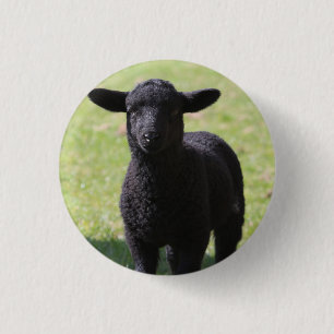 Black Sheep - Knopf Button