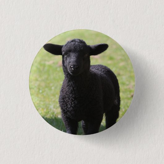 Black Sheep - Knopf Button (Vorderseite)