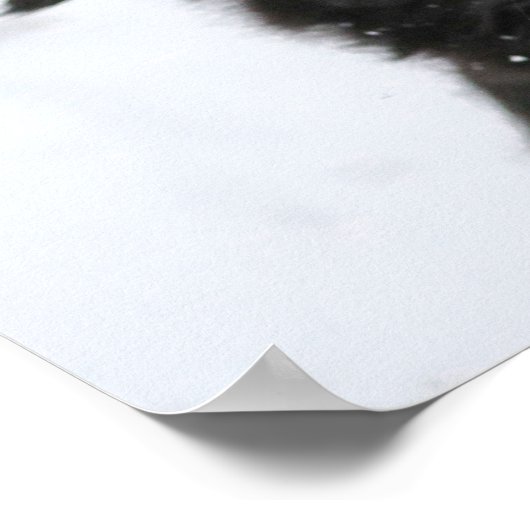 Black Shepherd Dog in the Snow Poster (Ecke)