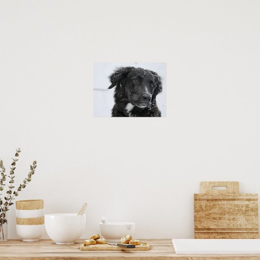 Black Shepherd Dog in the Snow Poster (Küche)