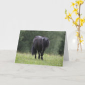 Black Shetland Pony Stallion Wandern Karte (Gelbe Blume)