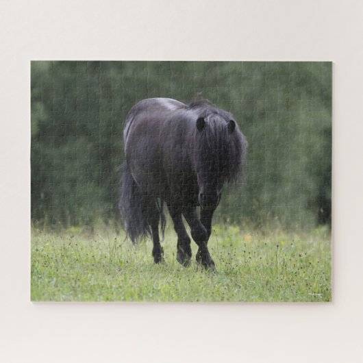 Black Shetland Pony Stallion Wandern Puzzle (Horizontal)
