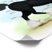 Black Shire Horse Educational Anatomical Chart Poster (Ecke)