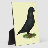 Black Show Racer Fotoplatte (Seite)