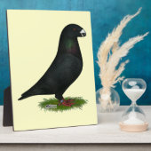 Black Show Racer Fotoplatte (Seite)