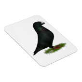 Black Show Racer Magnet (Rechte Seite)