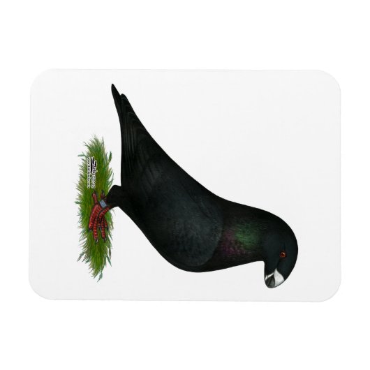 Black Show Racer Magnet (Horizontal)