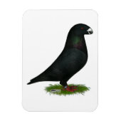 Black Show Racer Magnet (Vertikal)