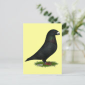 Black Show Racer Postkarte (Stehend Vorderseite)