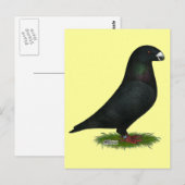 Black Show Racer Postkarte (Vorne/Hinten)