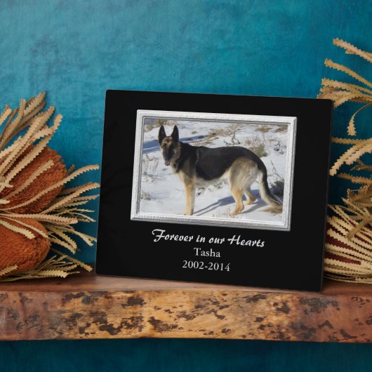 Black Silver Frame PET Memorial Template Fotoplatte (Seite)