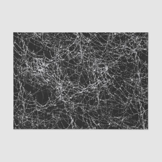 Black & Silvery Spider Webs Chic Halloween-Party Seidenpapier (Vorderseite)