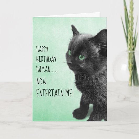 Black Smoke Kitten Karte (Vorderseite)