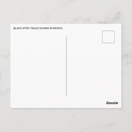 Black Spiny hat Iguana in Mexiko getippt Postkarte (Rückseite)