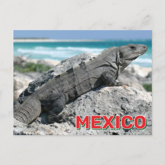 Black Spiny hat Iguana in Mexiko getippt Postkarte (Vorderseite)