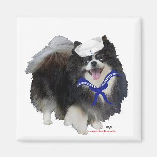 Black Spitz Sailor Magnet