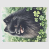 Black Spitz St Patricks Day Decoupage Seidenpapier (Vorderseite)