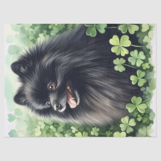Black Spitz St Patricks Day Decoupage Seidenpapier (Vorderseite)