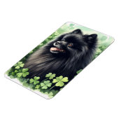 Black Spitz St Patricks Day Flexibel Magnet (Linke Seite)