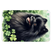Black Spitz St Patricks Day Flexibel Magnet (Horizontal)