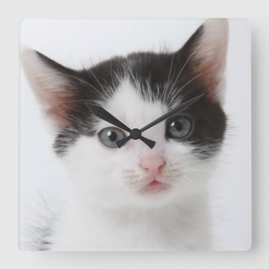 Black Spotted Kitten Quadratische Wanduhr (Vorderseite)