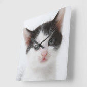 Black Spotted Kitten Quadratische Wanduhr (Winkel)