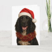 Black Sprocker / Springer Spaniel Christmas card Karte (Vorderseite)