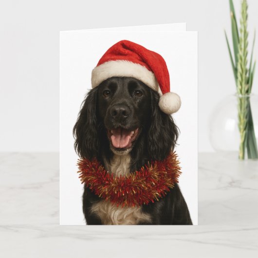 Black Sprocker / Springer Spaniel Christmas card Karte (Vorderseite)