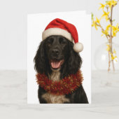 Black Sprocker / Springer Spaniel Christmas card Karte (Gelbe Blume)