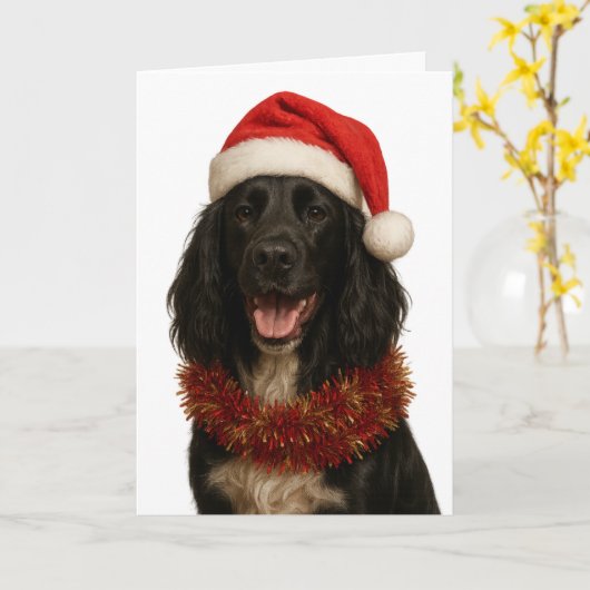 Black Sprocker / Springer Spaniel Christmas card Karte (Gelbe Blume)