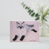 Black Stalkings ... Postkarte (Stehend Vorderseite)