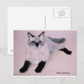 Black Stalkings ... Postkarte (Vorne/Hinten)