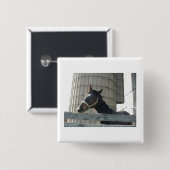 Black Stallion Beauty Button (Vorne & Hinten)
