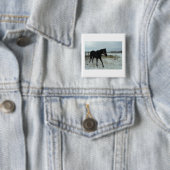 Black Stallion Beauty Button (Beispiel)