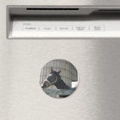 Black Stallion Beauty Magnet (In Situ (Geschirrspüler))