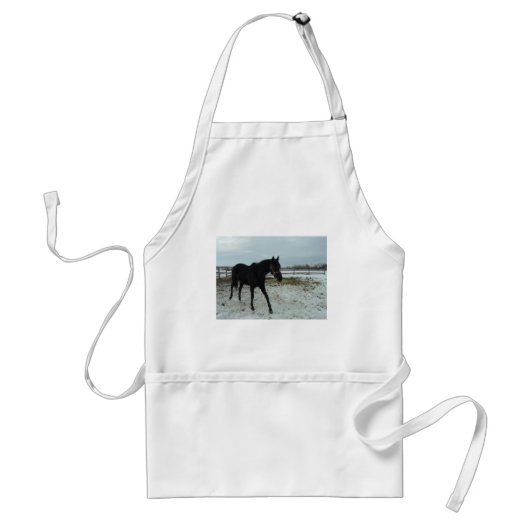 Black Stallion Beauty Schürze (Vorne)
