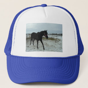 Black Stallion Beauty Truckerkappe