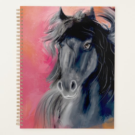 Black-Stallion-Plane Planer (Vorderseite)