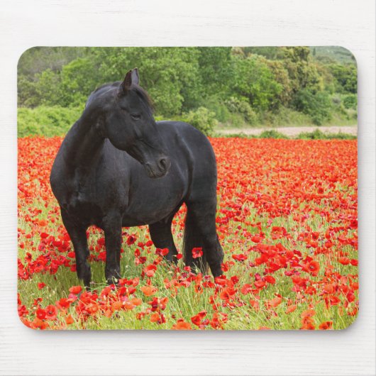 Black Stallion und Poppies Mouse Pad Mousepad (Vorne)