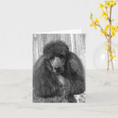 Black Standard Poodle Headstudy Karte (Gelbe Blume)