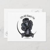 Black Standard Poodle IAAM Postkarte (Vorne/Hinten)