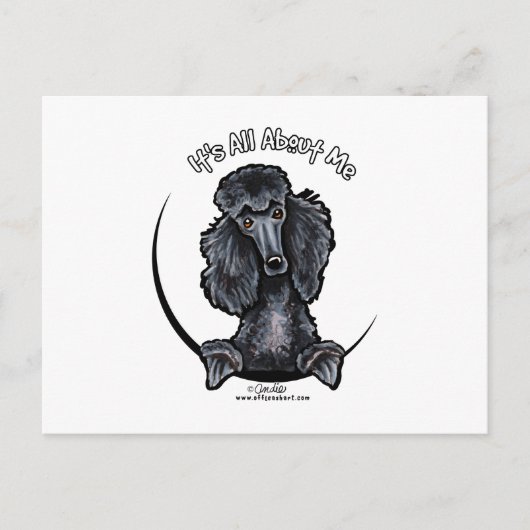 Black Standard Poodle IAAM Postkarte (Vorderseite)