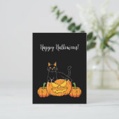 Black Stylish Happy Halloween Cat & Pumpkin Print Postkarte (Stehend Vorderseite)