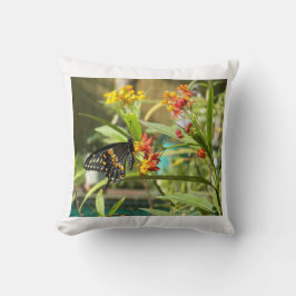 Black Swallow Butterfly #2 Kissen
