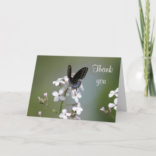Black swallowtail butterfly dankeskarte (Vorderseite)