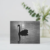 Black Swan - Australian Native Animal Postkarte (Stehend Vorderseite)