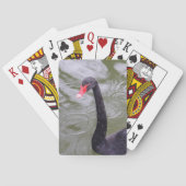Black Swan Bicycle® Poker Spielkarten (Rückseite)