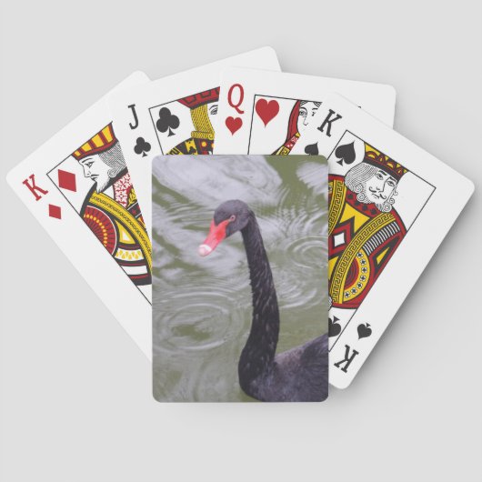 Black Swan Bicycle® Poker Spielkarten (Rückseite)