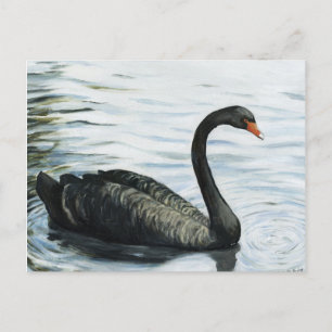 "Black Swan" Bird Art Reproduction Postcard Postkarte